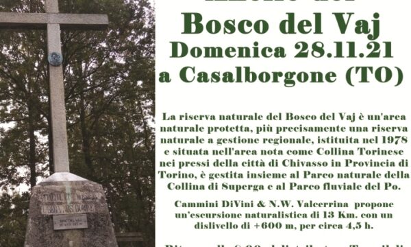 Anello del Bosco del Vaj
