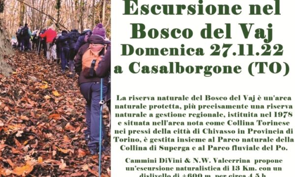 Escursione nel Bosco del Vaj